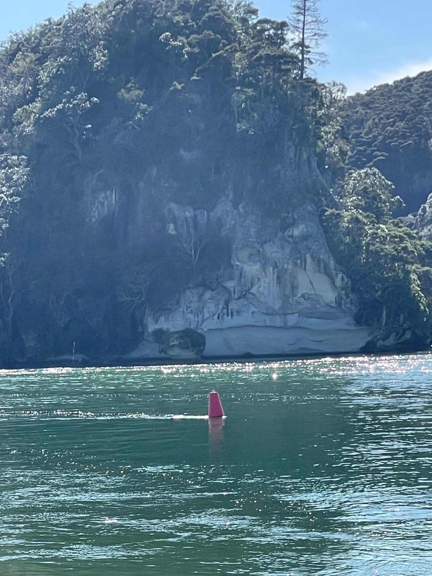 Villa Make Memories At Cook Drive Whitianga Exterior foto